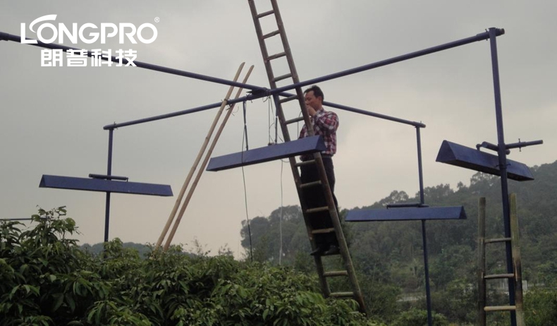 華南植物園桂味荔枝增溫模擬實驗.jpg 華南植物園桂味荔枝增溫模擬實驗.jpg